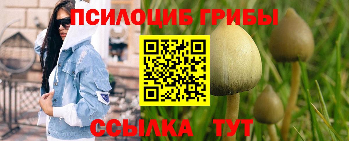 Ульяновск  Галлюциногенные грибы мицелий  Вход с VPN 